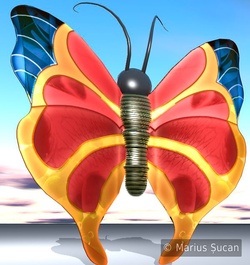 butterfly no. 2d