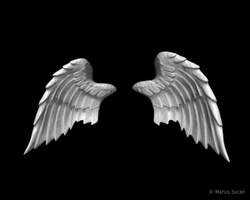 rose-angel wings wip 4