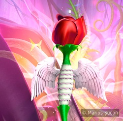 rose-angel wings wip 6