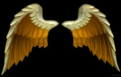 rose-angel wings wip 9 huge