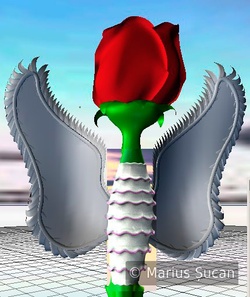 rose-angel wings 1