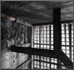the window's corner