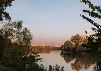 Evening by river