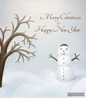 Holidays greeting card 2010
