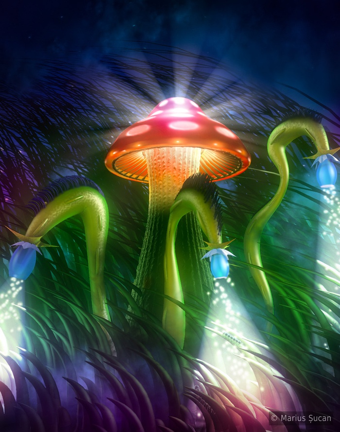 Mushroom Kingdom