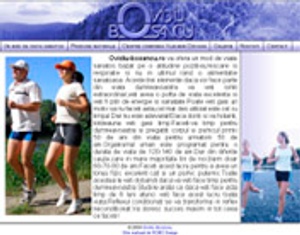 Ovidiu Bosancu web site (2004)