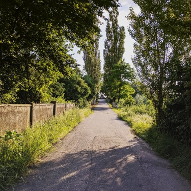 Path to the eternal home