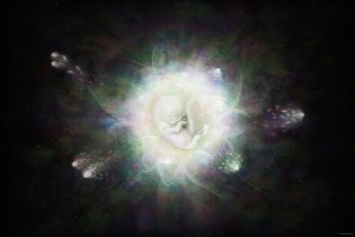 The Big Bang foetus