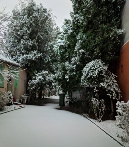 Winter night in courtyard